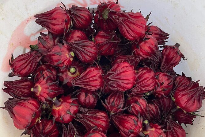 Edible Hibiscus Guided Farm Tour (Big Island) - Who This Tour Fits Best (And Who Might Skip It)