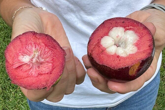 Exotic Fruit Tasting Tour in Kona - Key things to know before you go
