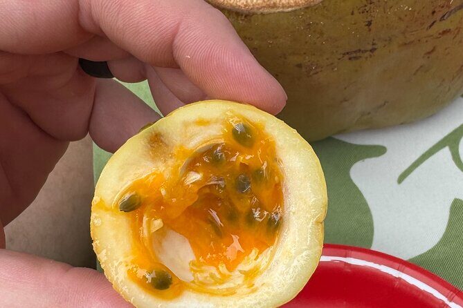 Exotic Fruit Tasting Tour in Kona - How much “farm tour” is it, really?
