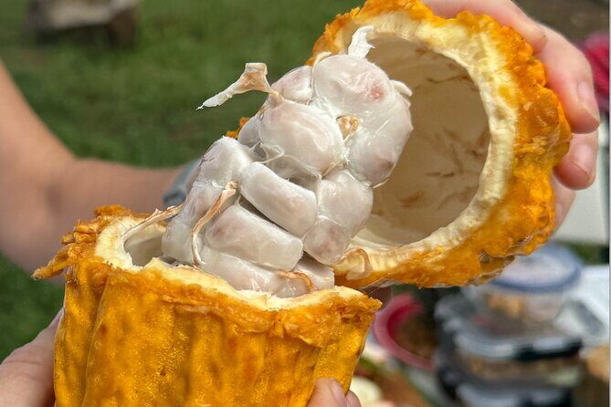 Exotic Fruit Tasting Tour in Kona - What to eat: standout fruits (and how to approach unknown ones)