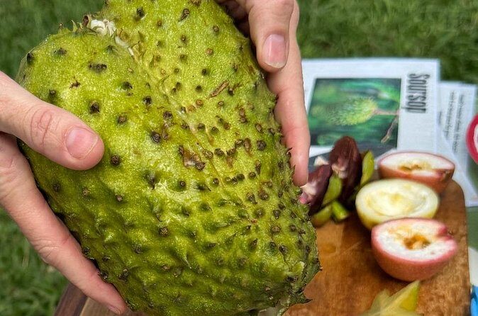 Exotic Fruit Tasting Tour in Kona - Mosquito comfort: small effort that pays off
