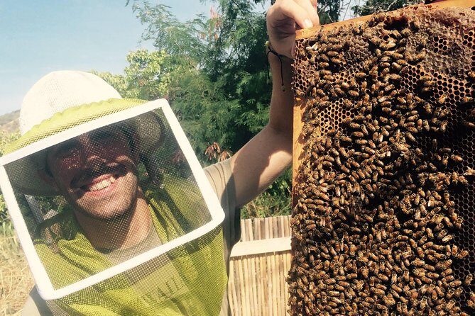 Experience Our Honey Farm And Beekeeping Tour - The Beekeeping Tour: Screened Viewing and Real Explanations