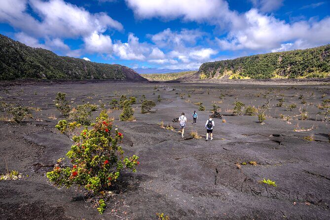 Expert Led Private Guided Tour Hawaii Volcanoes National Park - Key Points You’ll Actually Care About