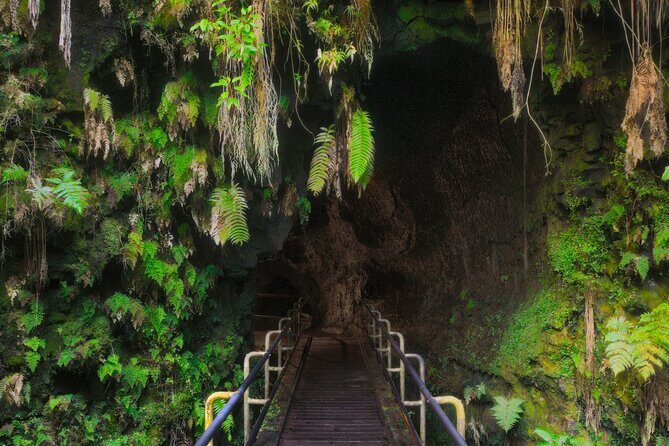 Expert Led Private Guided Tour Hawaii Volcanoes National Park - Stop 2: Nahuku (Thurston) Lava Tube