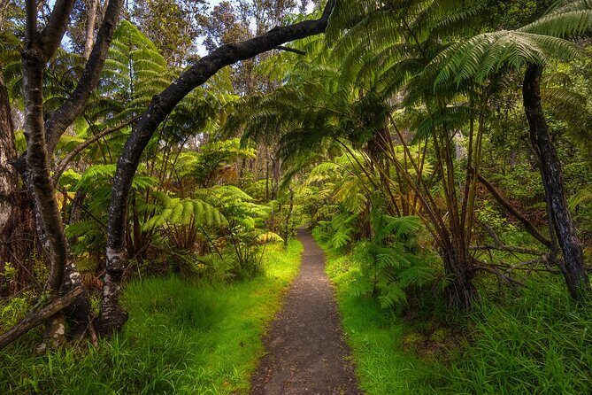 Expert Led Private Guided Tour Hawaii Volcanoes National Park - What “Customizable” Changes on the Ground