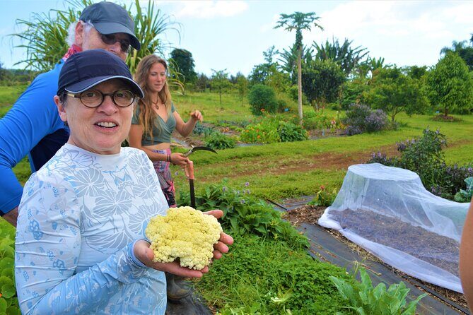 Farm to Table Cooking Class at Kulaniapia Falls - Key highlights worth planning for