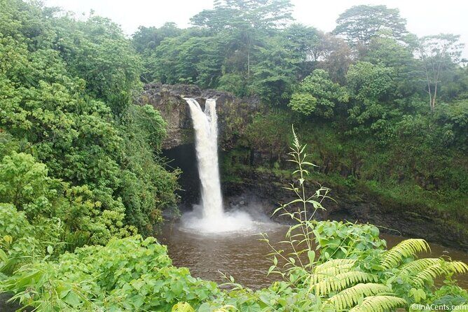 From Big island Hilo Private Volcanoes and Waterfalls Tour - Guides Make the Difference: Mr. Henry, Dramma, Michael, and Style