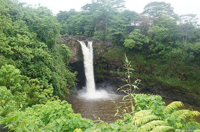 From Big island Hilo Private Volcanoes and Waterfalls Tour - Value Check: Is $950 Per Group Worth It?