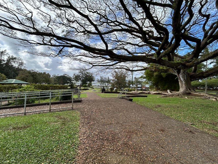 From Hilo: Hawaii Volcanoes National Park Tour - Getting From Hilo: What the Pickup and Short Day Actually Feel Like