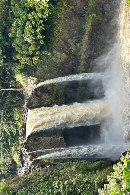 From Hilo: Hawaii Volcanoes National Park Tour - Price and Value: Is $175 Worth It From Hilo?