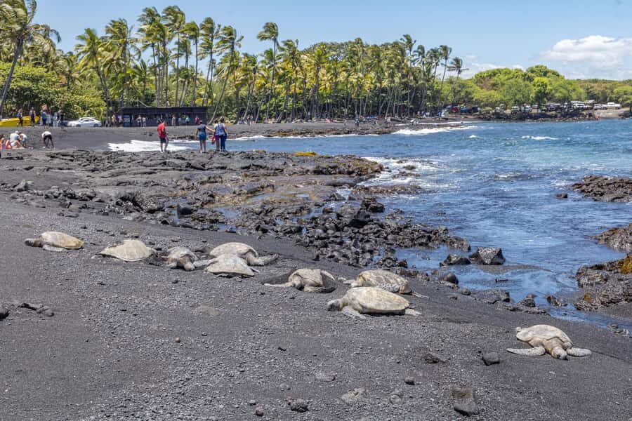From Kailua-Kona: All-Inclusive Volcanoes National Park Tour - Volcano Village dinner: you finish warm, not stranded