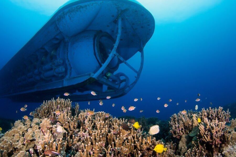 From Kona: Big Island Underwater Submarine Adventure - Kona Atlantis Highlights (Key Things to Know)