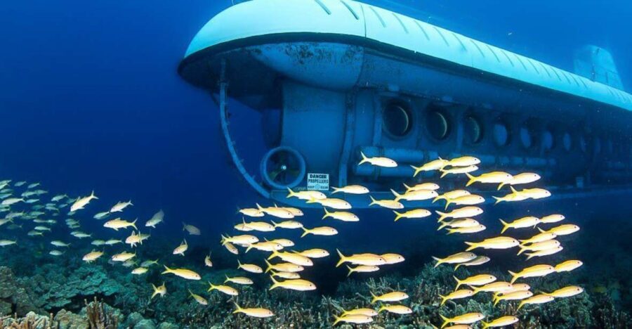 From Kona: Big Island Underwater Submarine Adventure - The 45 Minutes Underwater: Coral, Fish, and Shipwreck Moments