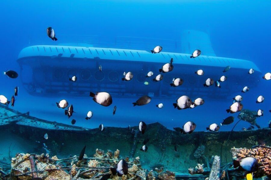 From Kona: Big Island Underwater Submarine Adventure - Comfort, Safety, and Window Reality Inside the Submarine