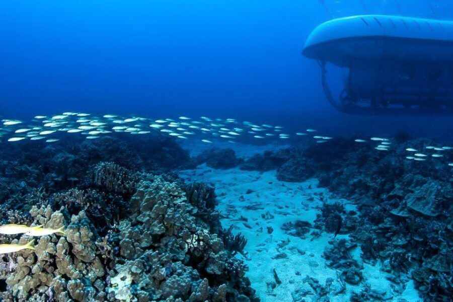 From Kona: Big Island Underwater Submarine Adventure - Who Should Book This Kona Underwater Adventure