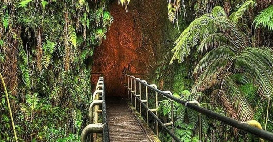 From the Big Island: Hawaii Volcanoes National Park Tour - Price and value: what $205 really covers
