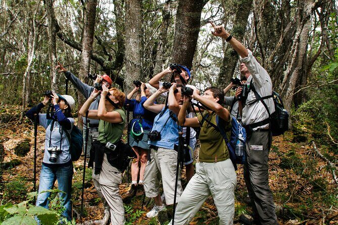 Full-Day Hakalau Forest Reserve Bird Watching Adventure - Key things I’d circle on your planning sheet