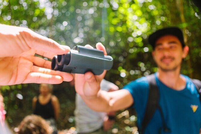 Full-Day Hakalau Forest Reserve Bird Watching Adventure - Getting into the Pua Akala tract: restricted land makes the birding real