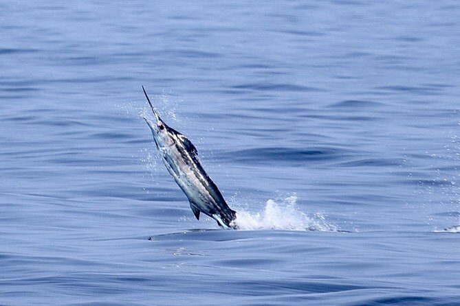 Full Day Sportsman/Enthusiast Charter - Key highlights to know before you go