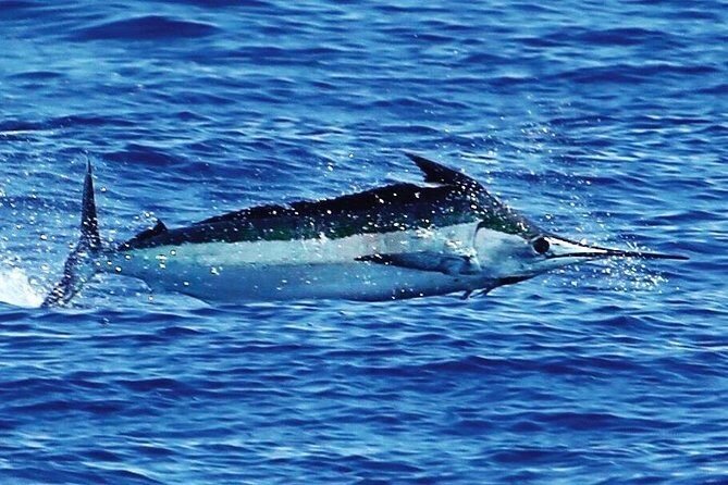 Full Day Sportsman/Enthusiast Charter - Gear and comfort: what’s included, and what you should plan for