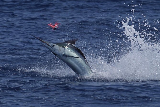 Full Day Sportsman/Enthusiast Charter - How this private setup shapes your chances