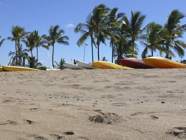 Glass-Bottom Boat Cruise from Waikoloa - Key highlights worth planning for