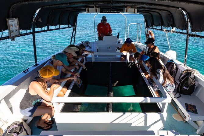 Glass-Bottom Boat Cruise from Waikoloa - What You’ll See Through the Windows: Fish, Coral, and Sea Turtles