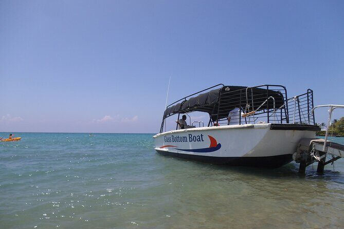 Glass-Bottom Boat Cruise from Waikoloa - Timing and Weather: Why Earlier Often Means Better Views