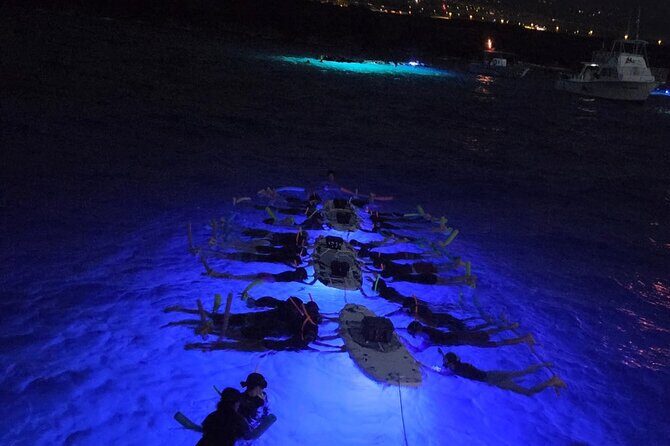 Glow of the Deep: Night Snorkeling with Manta Rays - Key things that make this manta night special