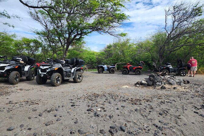 Green Sands Adventure ATV Ride - Sea Turtle Spotting at the Shore: What to Expect Without Overthinking It