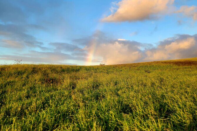 Green Sands Adventure ATV Ride - The Private Green Sand Beach Stop: The Payoff Beyond the Trail