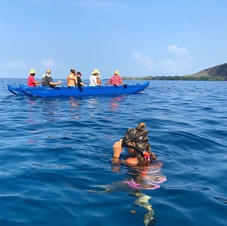 Guided Outrigger Canoe Tour in Kealakekua Bay - Snorkeling in Kealakekua Bay: gear included, and safety built in