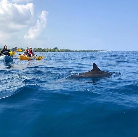 Guided Outrigger Canoe Tour in Kealakekua Bay - What to pack and how to plan your day around the water