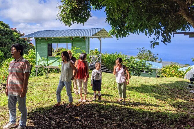 Hala Tree Coffee Farm Tour - Hala Tree Coffee on the Big Island: why this 1-hour tour fits real schedules
