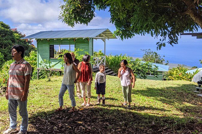 Hala Tree Coffee Farm Tour - Views, comfort, and the small-group feel (max 12 people)