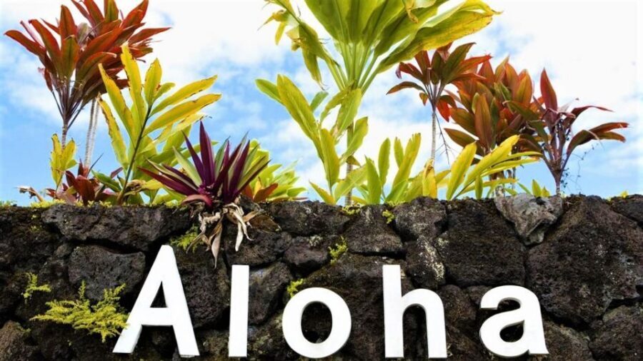 Haleakala Daytime Self-Guided Express Bike Tour w/ Bike Maui - Should You Book the Haleakala Daytime Self-Guided Express Bike Tour?
