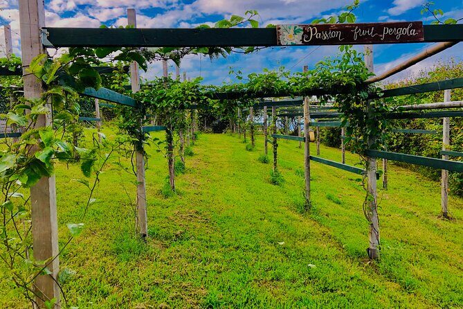 Hamakua Coast Farm Small-Group Walking and Tasting Tour - Key Highlights Worth Your Time