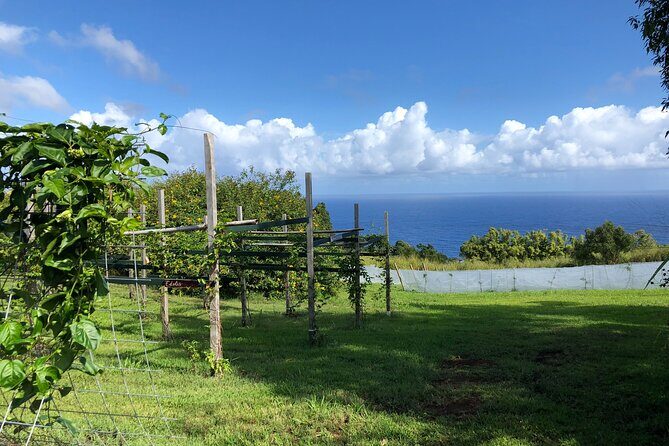 Hamakua Coast Farm Small-Group Walking and Tasting Tour - Nakihalani Farm Near Hilo: A Small-Group Tour With Real Flavor