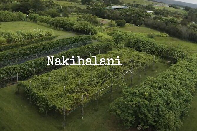Hamakua Coast Farm Small-Group Walking and Tasting Tour - The Lilikoi and Mamaki Tea Tastings: Why This Tour Works