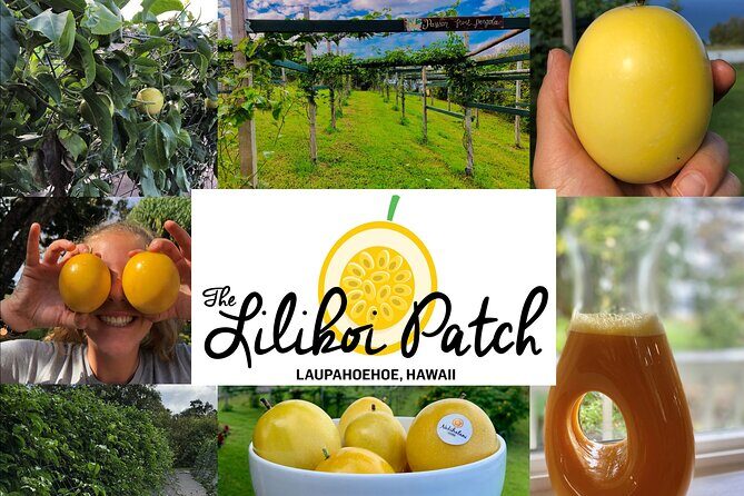Hamakua Coast Farm Small-Group Walking and Tasting Tour - Weather, Pace, and What to Plan Around in Hilo
