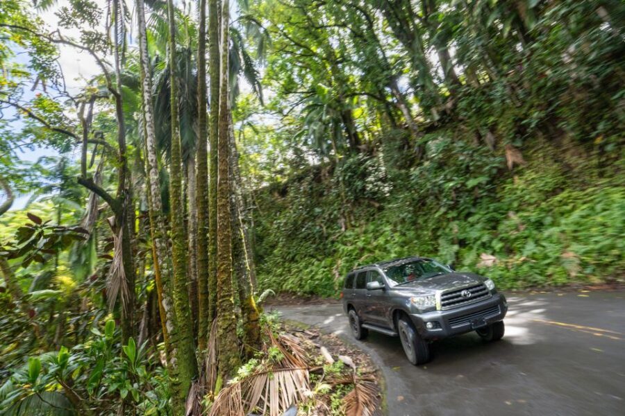 Hawaii: All-Inclusive Volcanoes and Waterfalls Private Tour - Akaka Falls State Park: The Waterfall Break Between Big-Hitter Geology