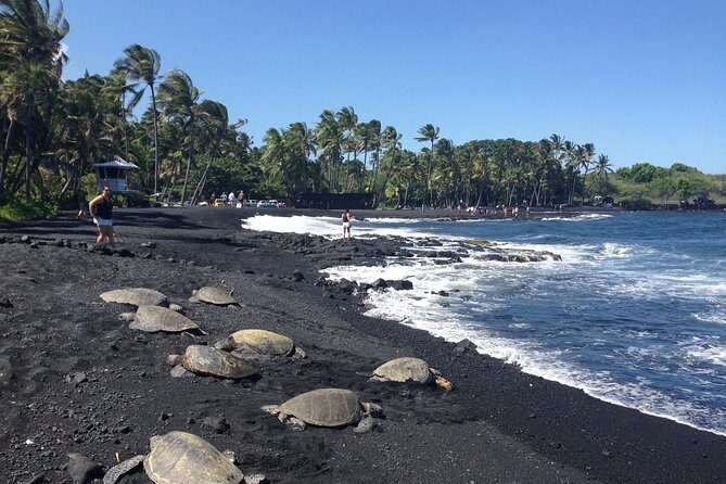 Hawaii Big Island Circle Small Group Tour: Waterfalls - Hilo - Volcano - Black Sand Beach - Key things to know before you go