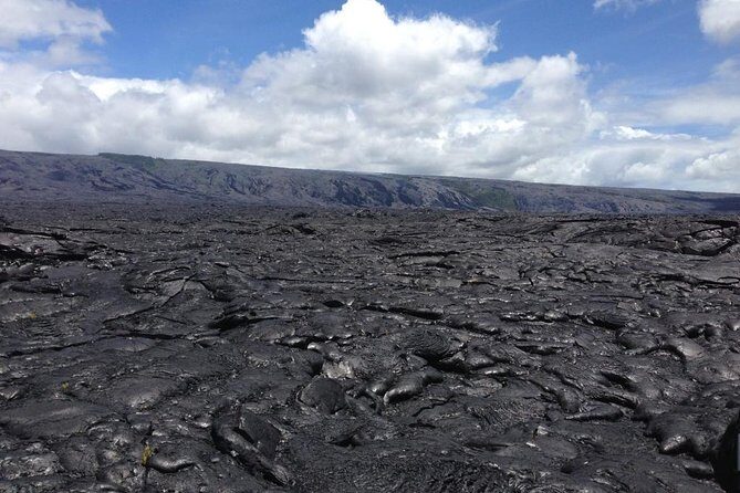 Hawaii Big Island Circle Small Group Tour: Waterfalls - Hilo - Volcano - Black Sand Beach - Waipiʻo Valley Lookout: taro fields and the valley of the Kings