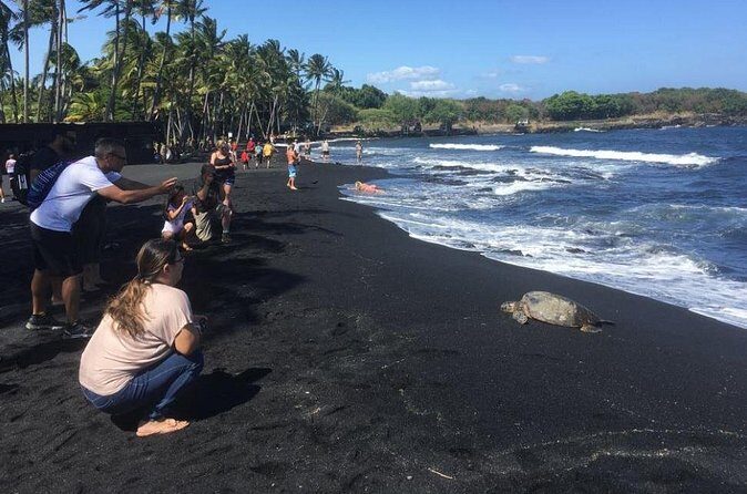 Hawaii Big Island Customized Private Tour - Price and value: what you’re really paying for at $1,400 per group
