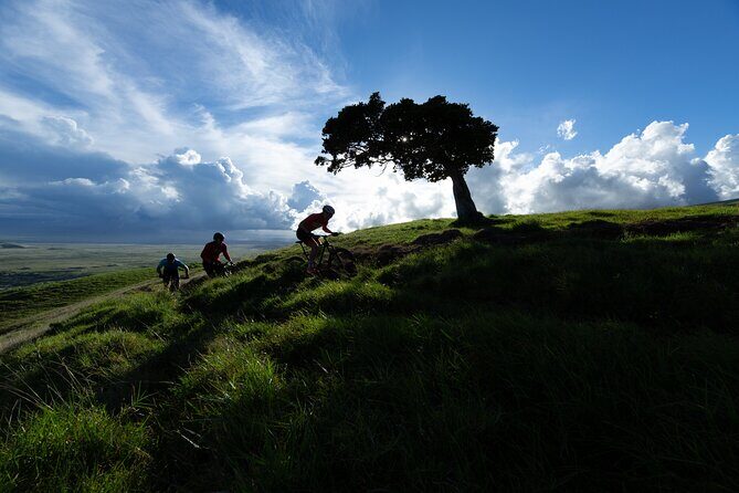 Hawai'i E-Mountain Bike Ride - Key Highlights Worth Your Time