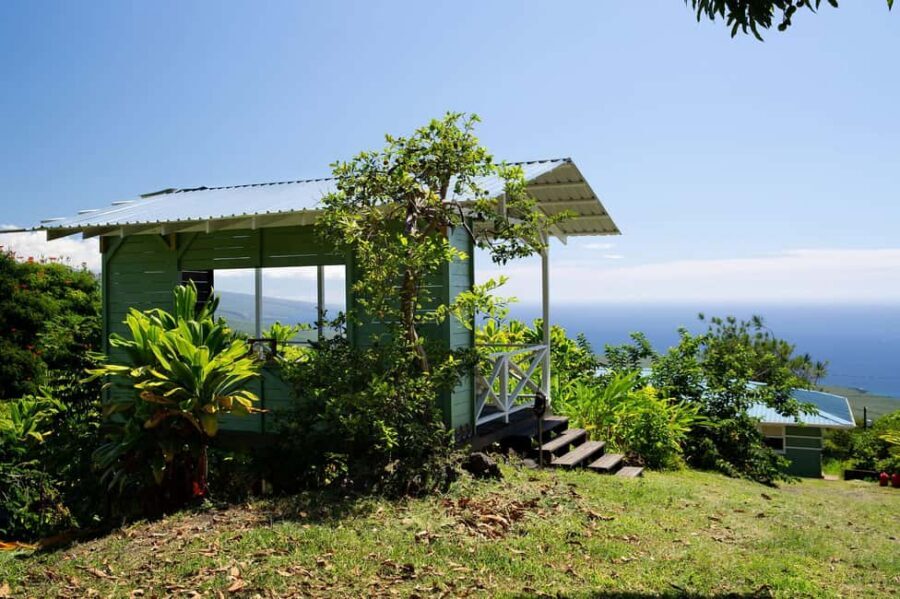 Hawaii: Hala Tree Coffee Farm Tour and Tasting - Key highlights to watch for