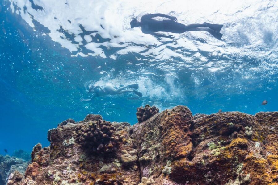 Hawaii: Pu'uhonua O Honaunau & Kealakekua Bay Snorkel Tour - Getting There, Then Getting Right Into Kona’s Coastline