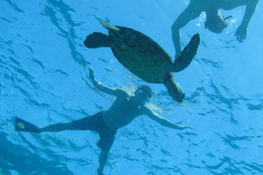 Hawaii: Pu'uhonua O Honaunau & Kealakekua Bay Snorkel Tour - Snorkeling Gear, Floats, and What You Must Bring