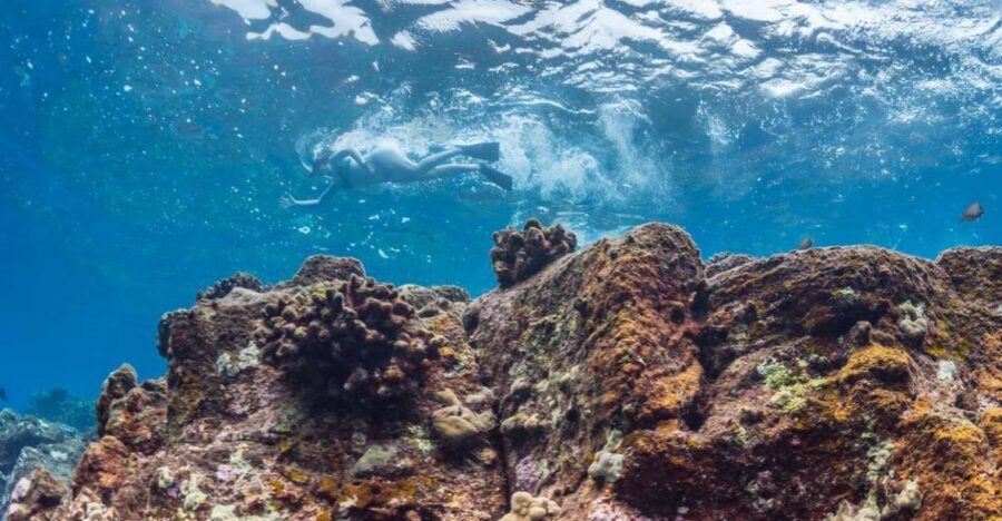Hawaii: Pu'uhonua O Honaunau & Kealakekua Bay Snorkel Tour - Keauhou Bay Rides: Fast Transport to Two Big Snorkel Areas