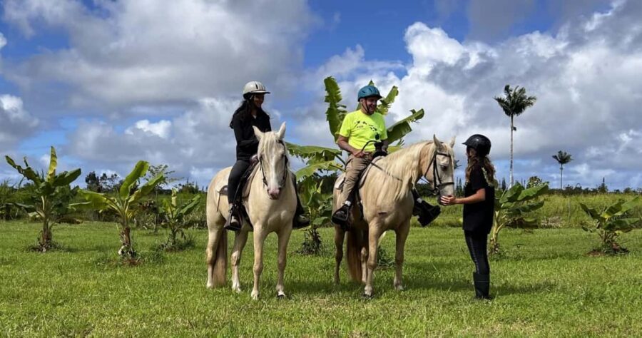 Hawaii: Small Group Rainforest Trail Ride - Key things I’d bet on